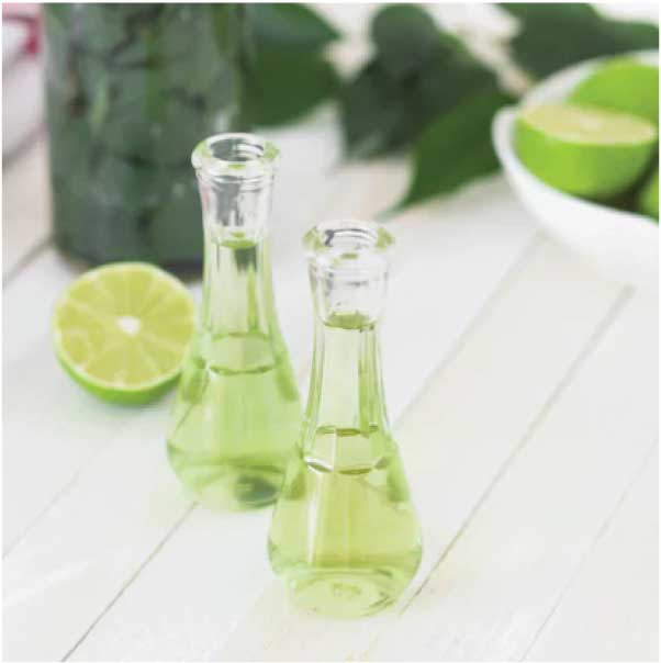 Spa Ayurveda – holistic care in Montreal